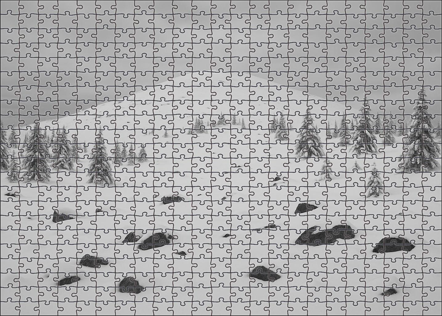 Silent Snowfield Summit 500 Piece Puzzle