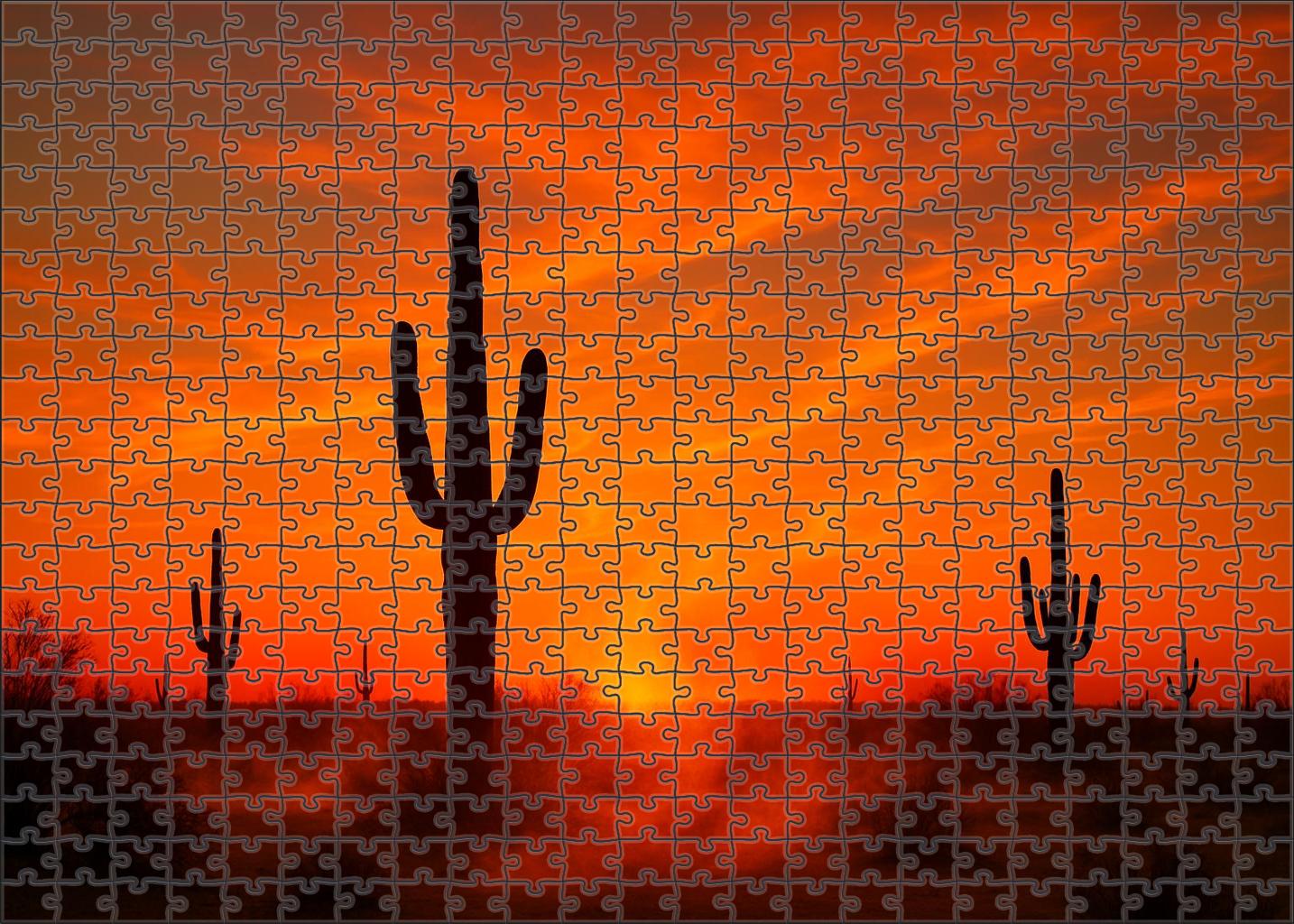 Saffron Sky Expanse Puzzle Collection