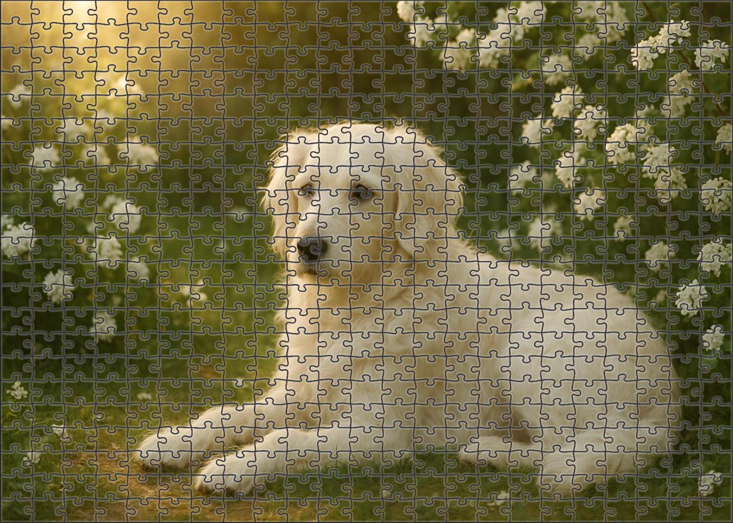 Pearl Whisper Puzzle Challenge