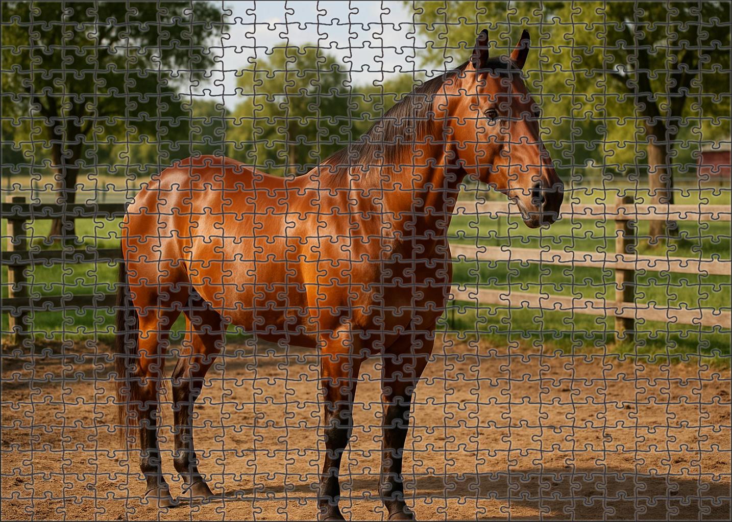 Golden Sunrise Quarter Horse Classic Bay With Exceptional Versatility Puzzle Collection