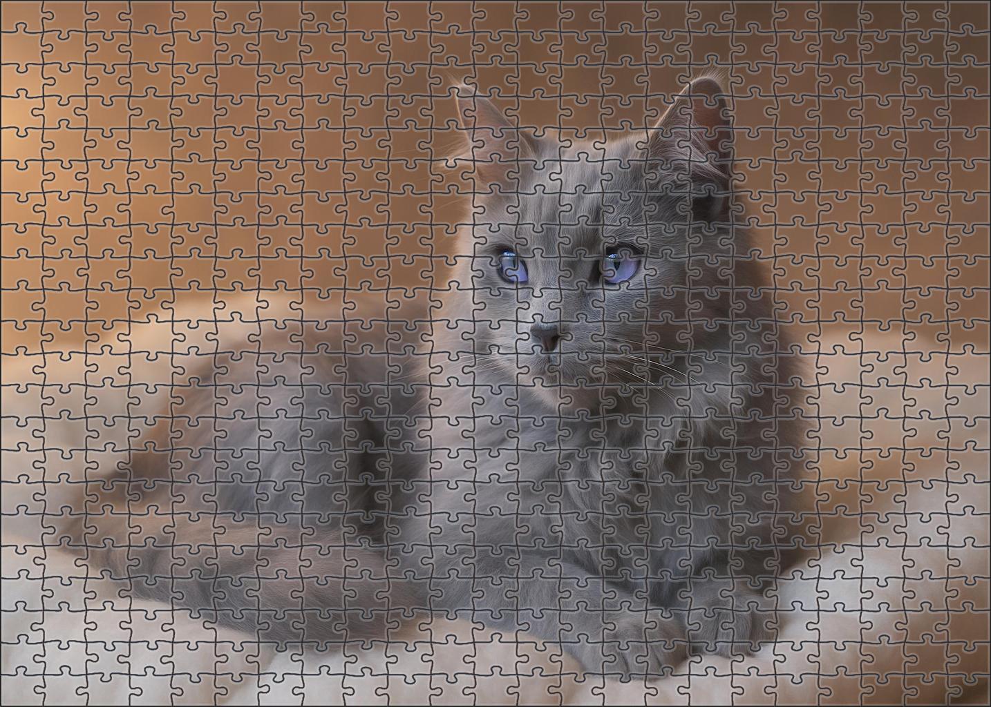 Celestial Mist 50 Piece Puzzle