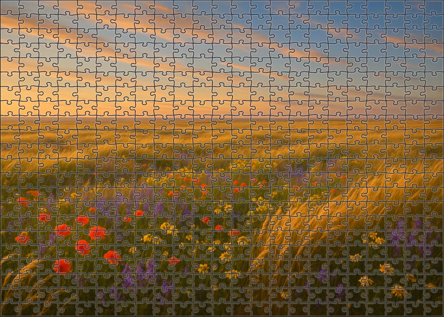 Golden Prairie Meadow Easy Puzzles