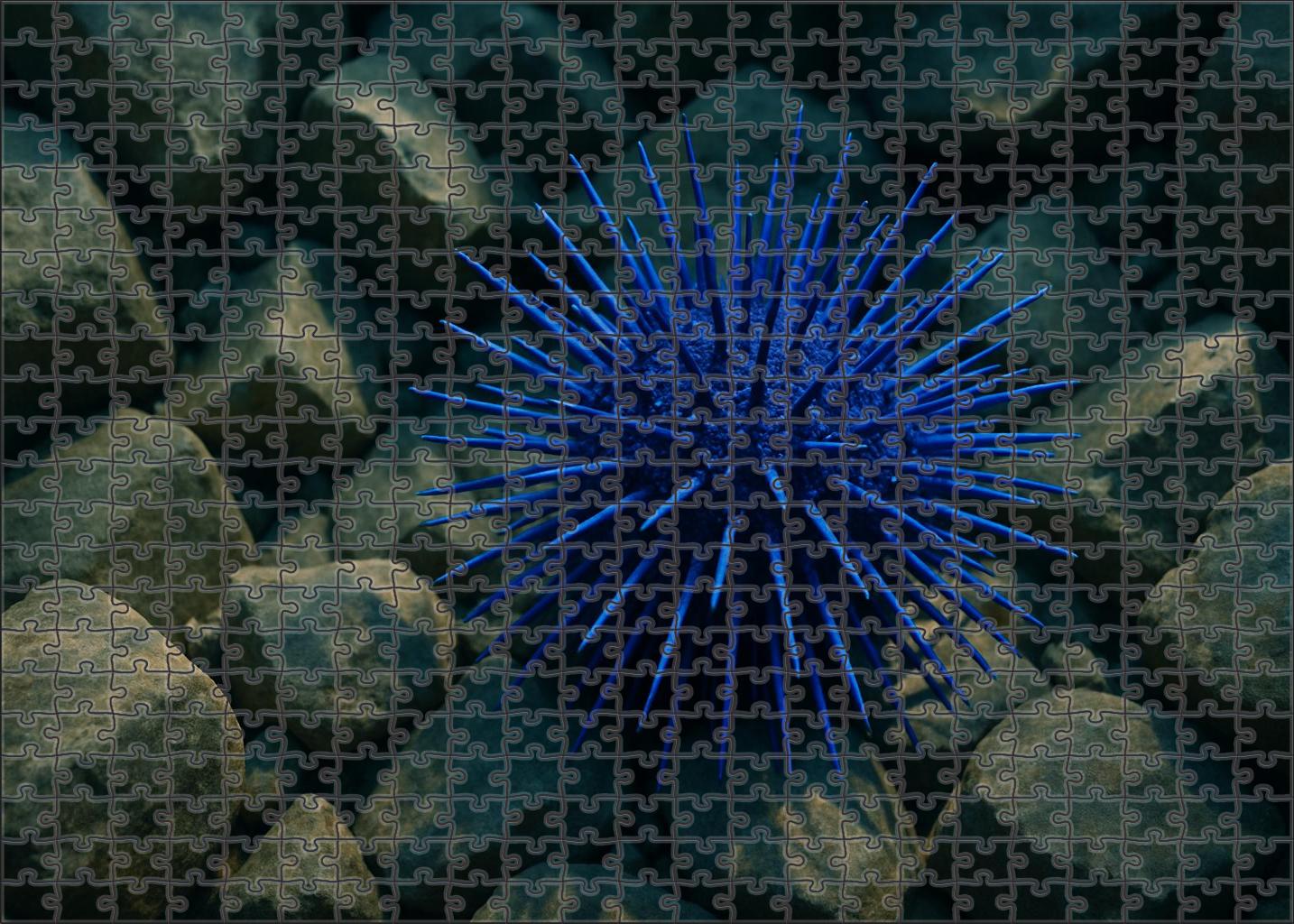 Azure Spine Urchin 20 Piece Puzzle