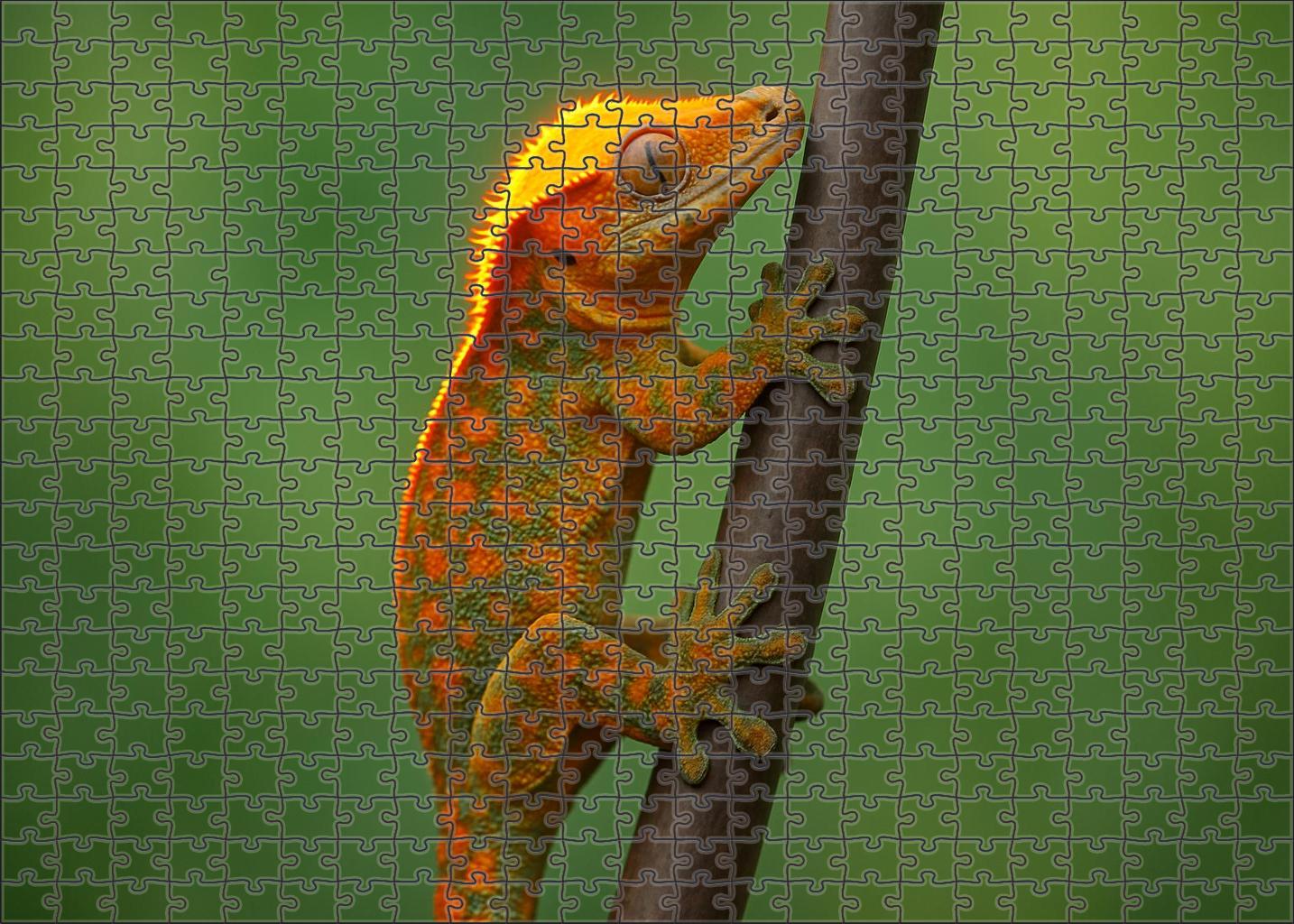 Celestial Crowned Gecko Arboreal Reptile With Bright Crest And Sticky Toes Puzzle Fun