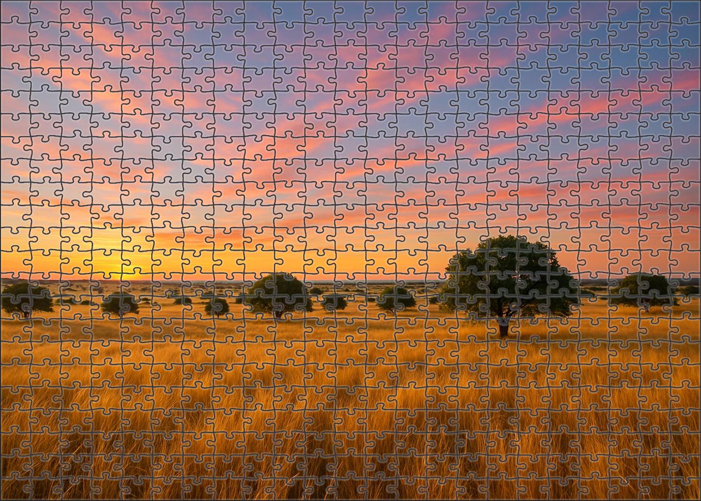 Sunlit Savannah Grassland 300 Piece Puzzle