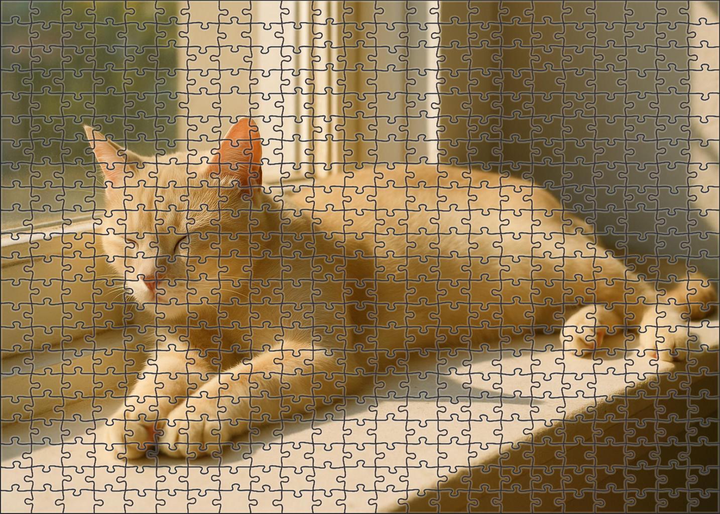 Honey Dew Delicate Pale Gold Shorthair With Sweet Temperament Premium Puzzle Pieces