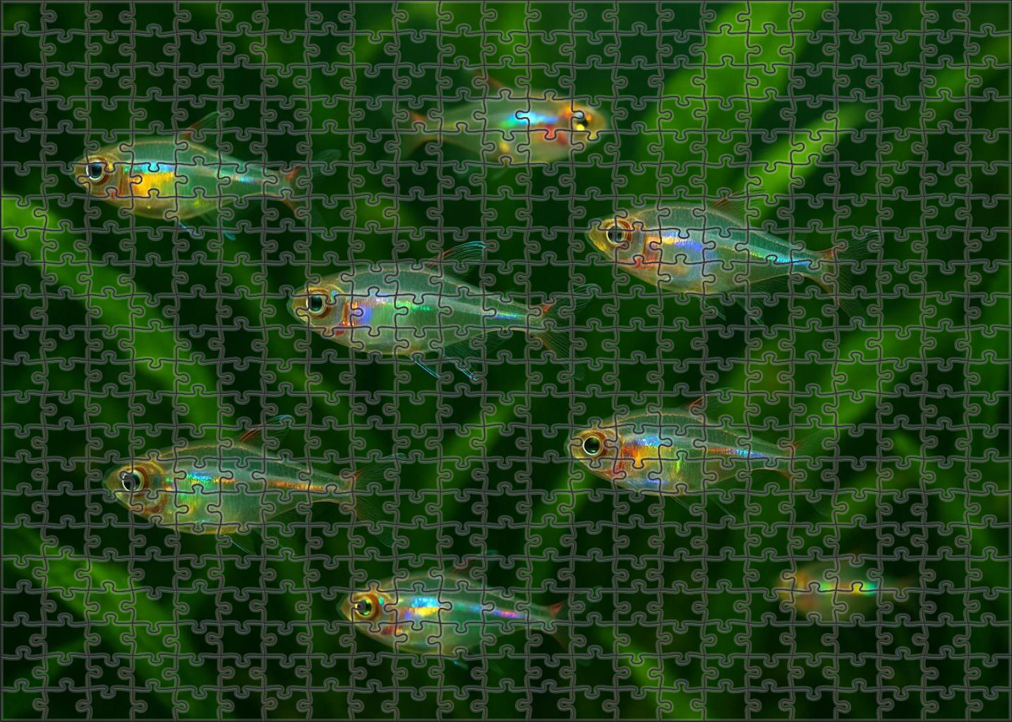 Iridescent Glassfish Transparent Body With Flickering Rainbow Highlights 200 Piece Puzzle