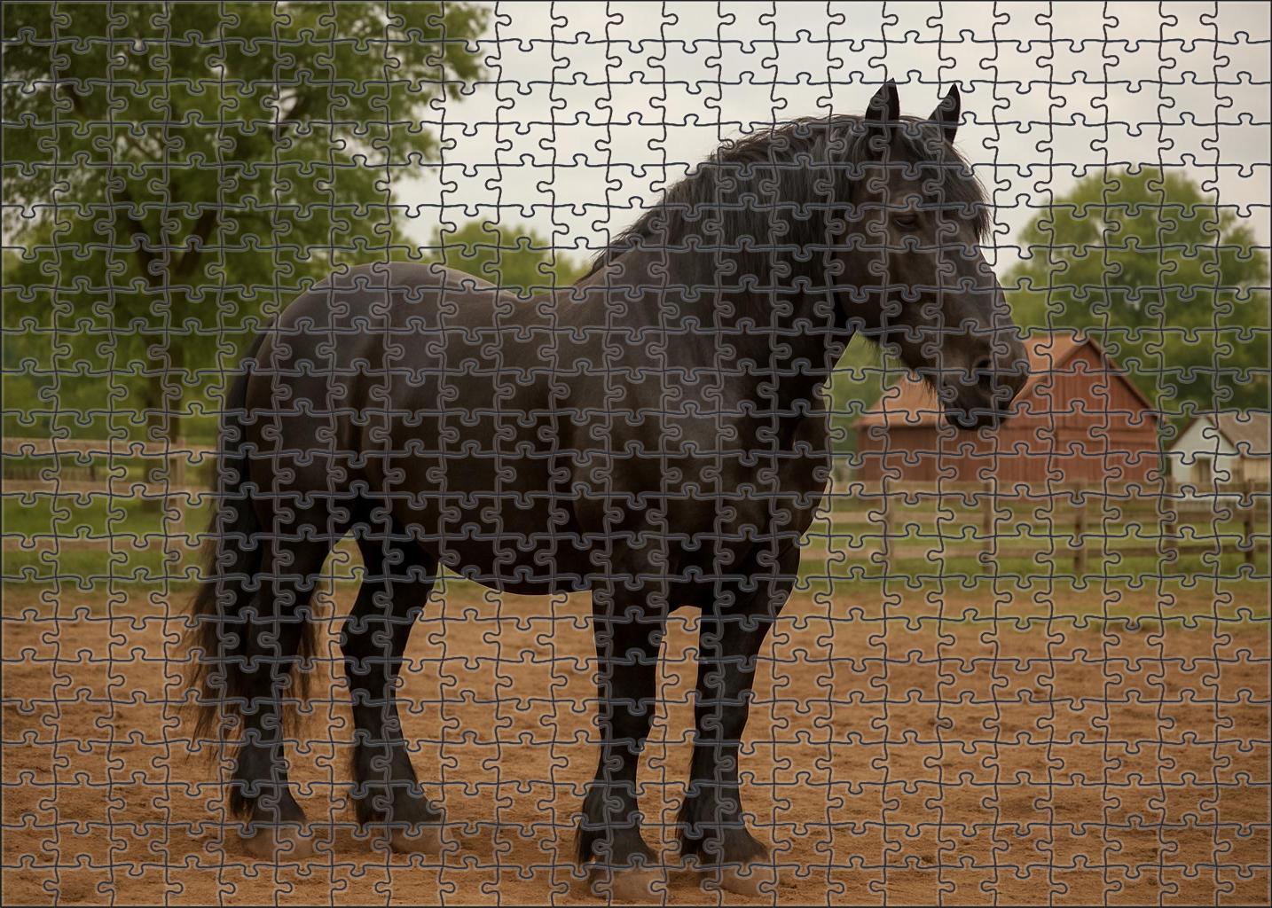 Thunderstrike Muscular Black Draft Cross With Grounded Power Puzzle For Adults