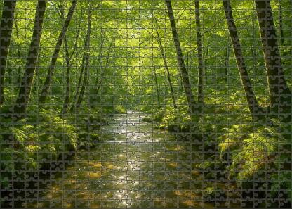 Crystal Streamwood 100 Piece Puzzle