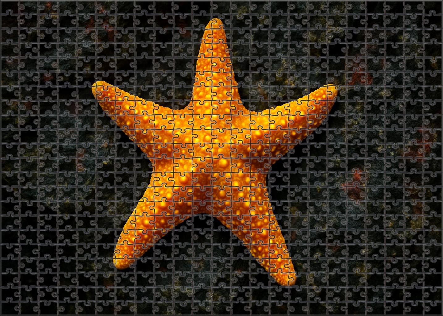Golden Bubble Star Echinoderm With Rounded Arms And Bubble Texture Puzzle Fun