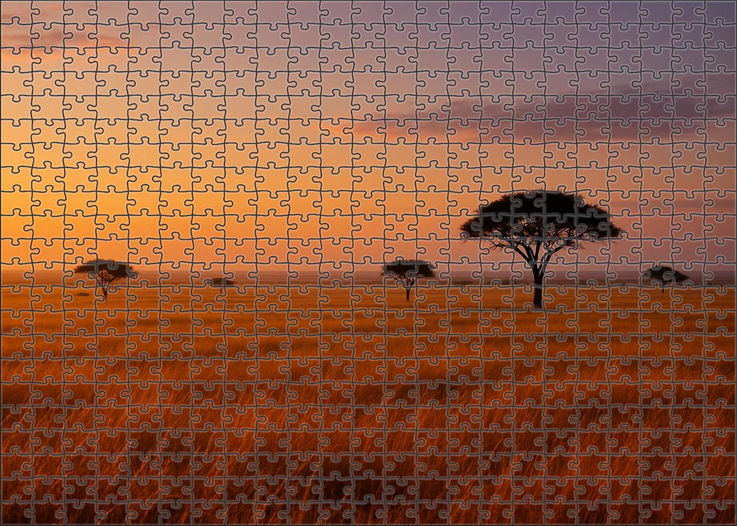 Golden Savannah Twilight Challenging Puzzles