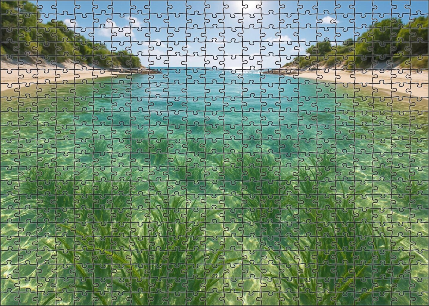 Seagrass Bay Refuge Puzzle Challenge