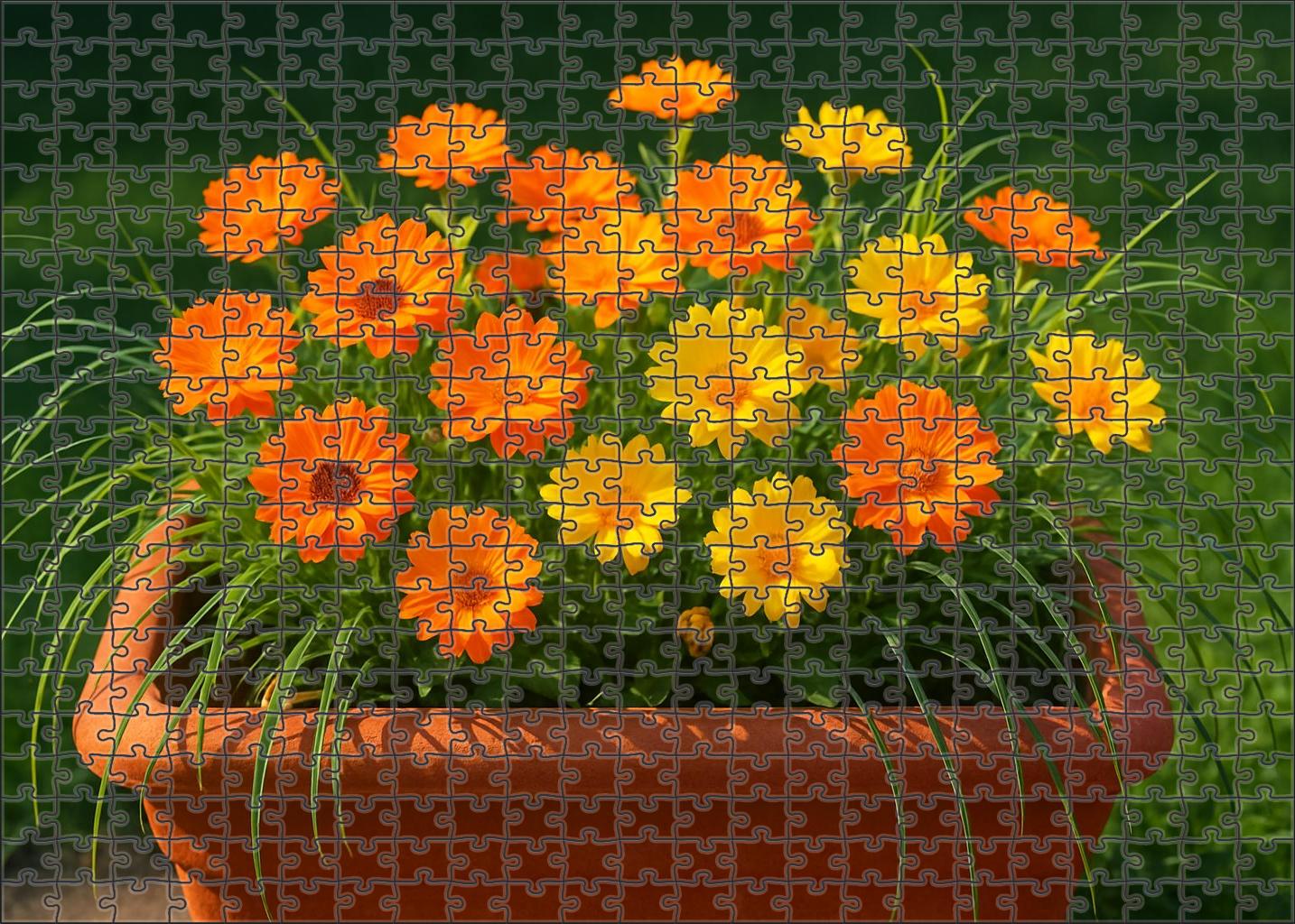 Sunburst Terrace Planter 50 Piece Puzzle