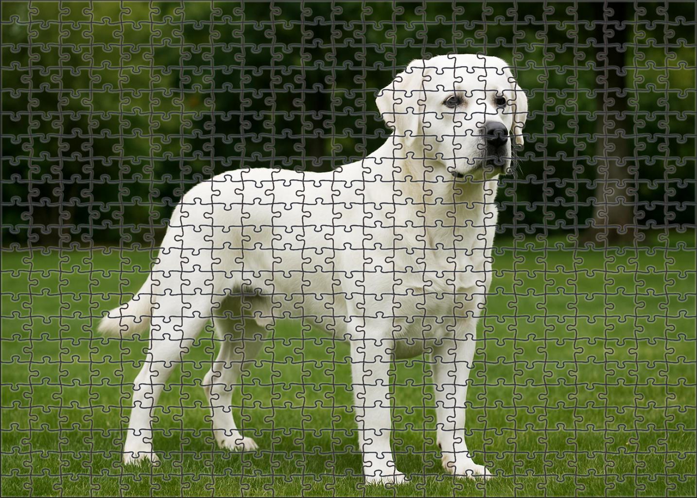 Ivory Shield Large Format Puzzle