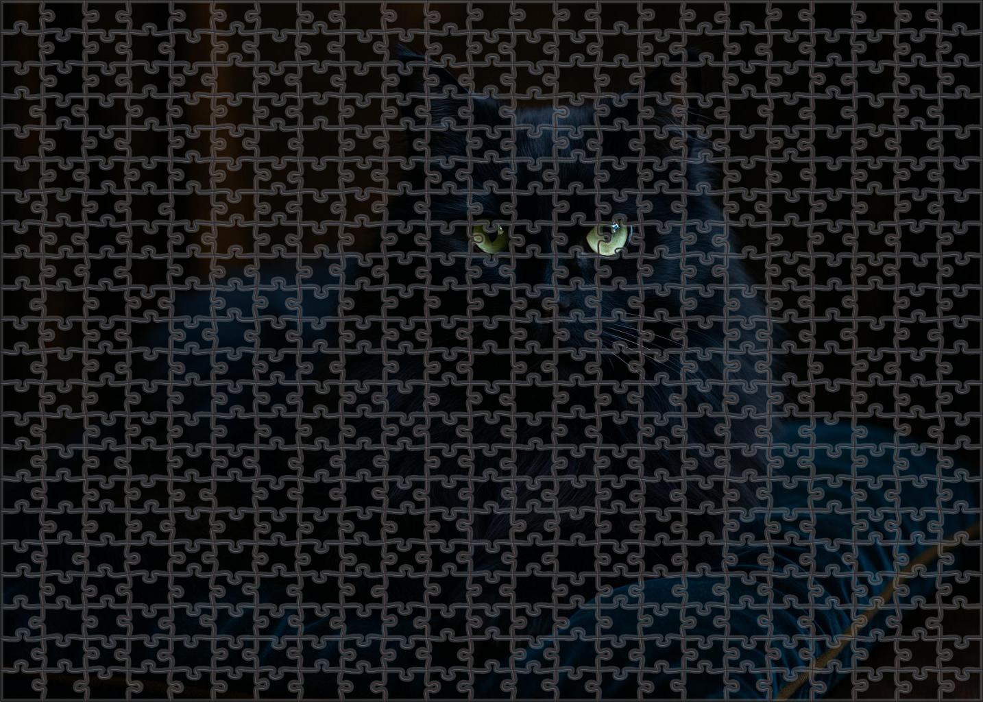 Midnight Opal Deep Blue-black Longhair With Gentle Mystery 200 Piece Puzzle