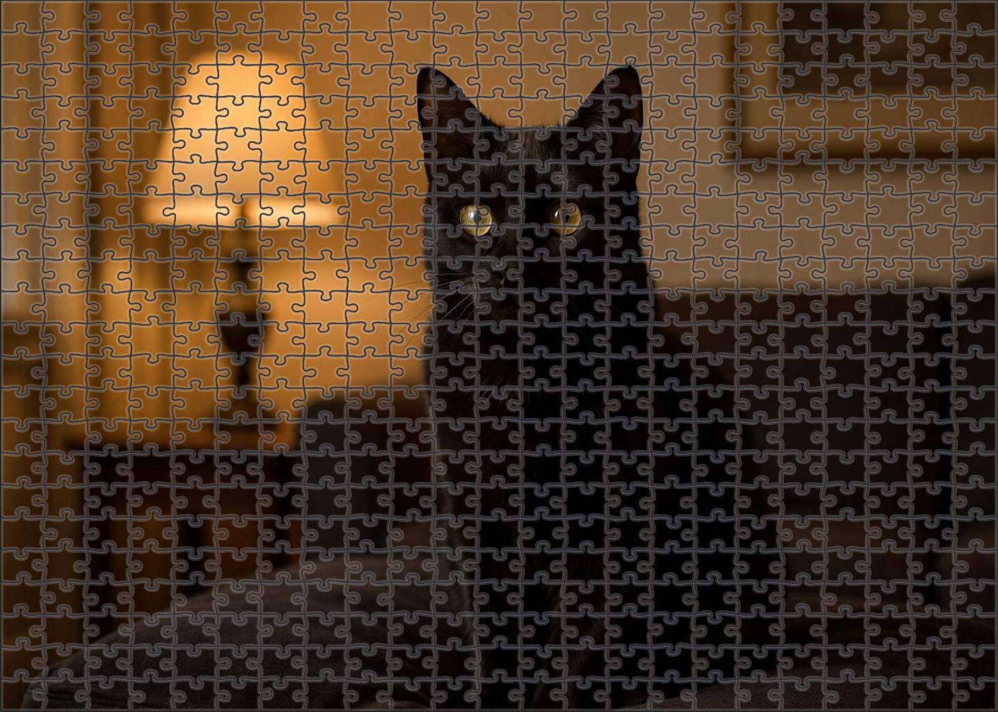 Velvet Shadow 200 Piece Puzzle