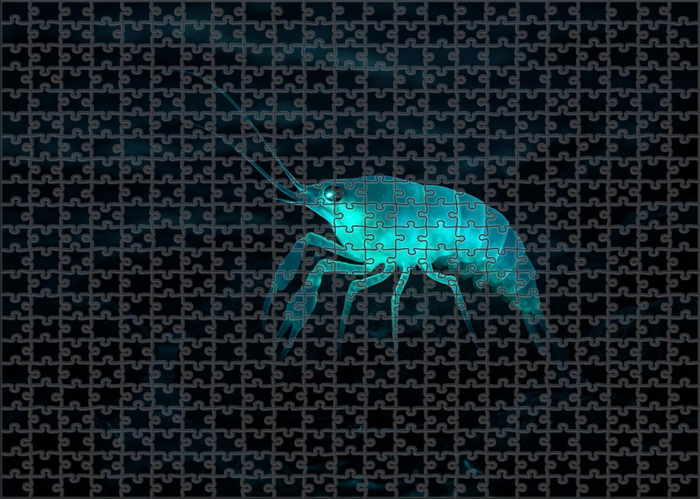 Luminous Tidecrawler Bioluminescent Crustacean With Multifaceted Eyes Large Format Puzzle