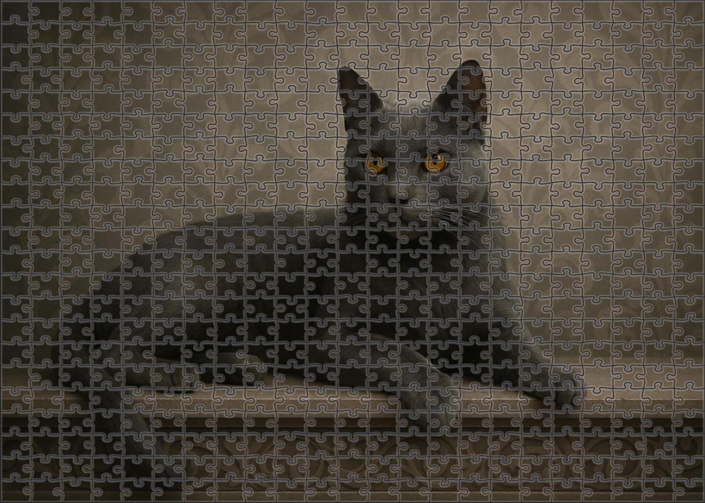 Charcoal Mist Mysterious Slate Gray With Playful Intelligence Puzzle Fun