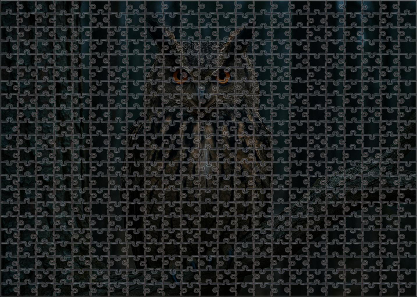 Great Horned Owl Nocturnal Forest Sentinel Challenging Puzzles