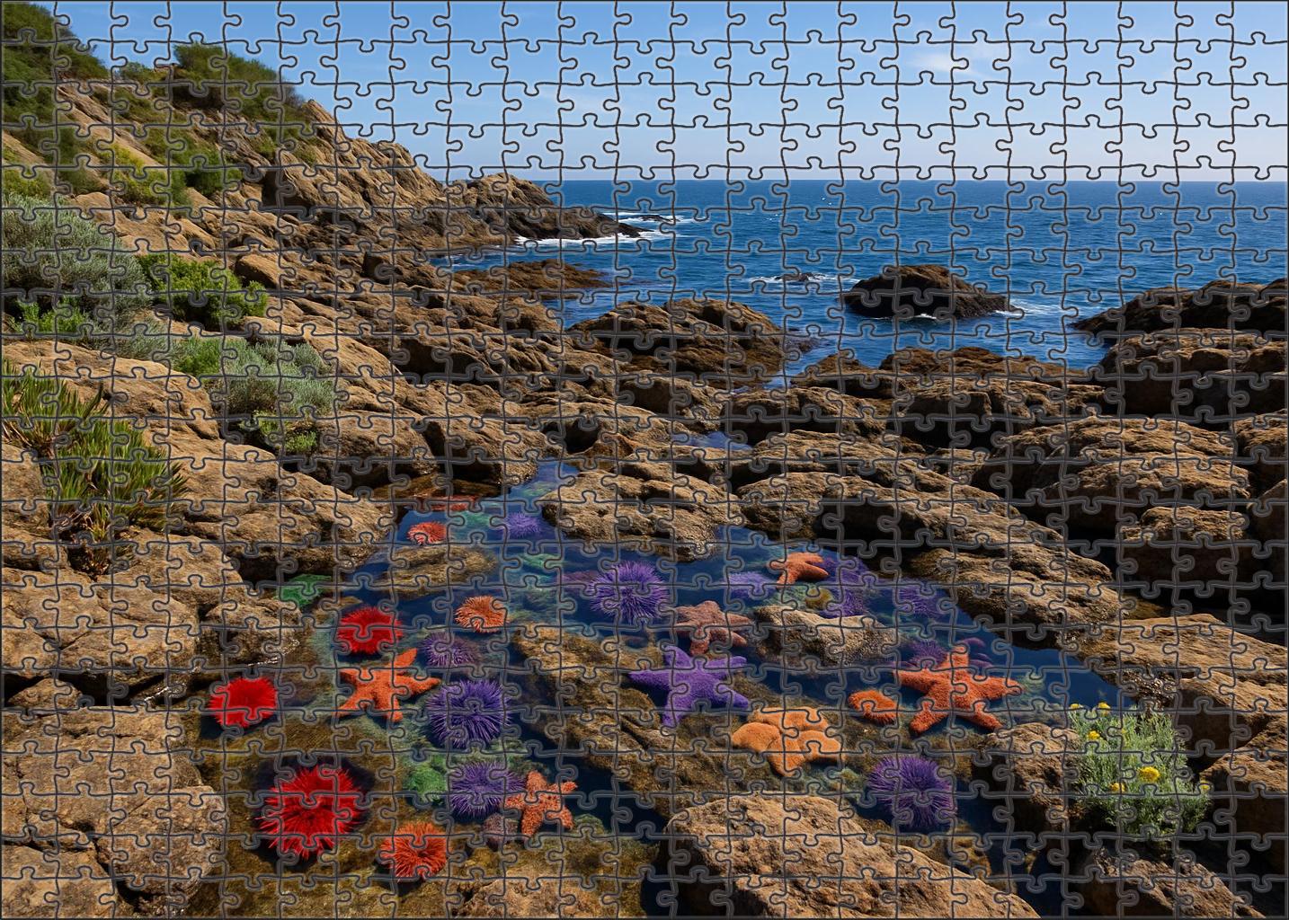 Tidepool Headland Walk 300 Piece Puzzle