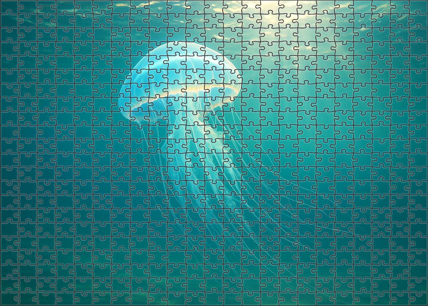 Iridescent Veil Jellyfish Delicate Drifter With Translucent Umbrella 300 Piece Puzzle