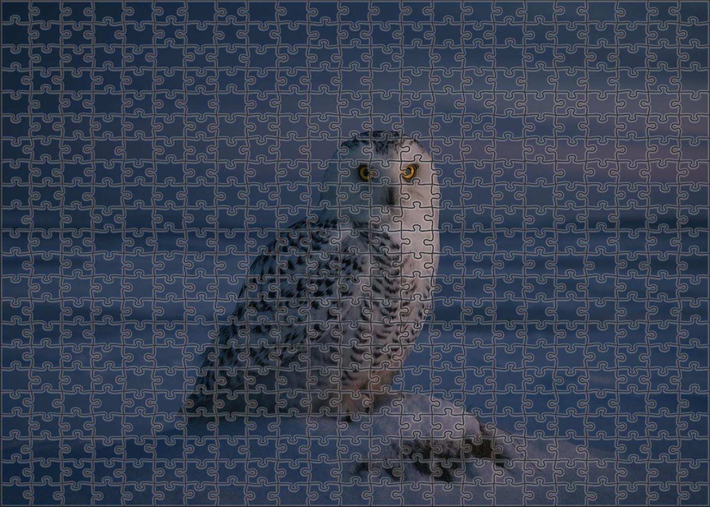 Snowy Owl Arctic Sentinel Of The Night Puzzle Challenge