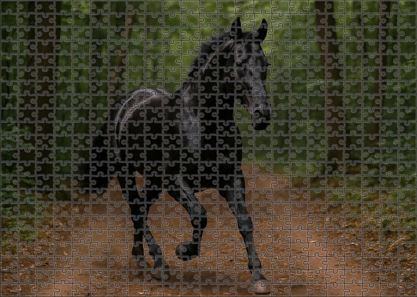 Onyx Whisper Sleek Black Gelding With Agile Ground-covering Stride Easy Puzzles