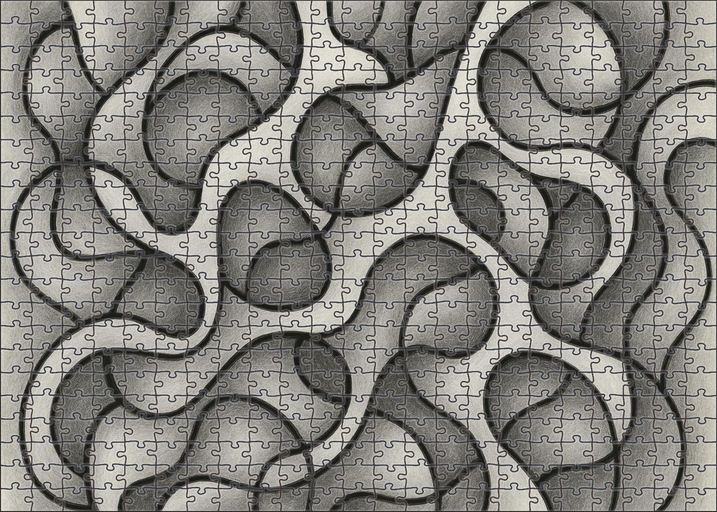 Abstract Organic Form Exploration Graphite And Ink Mixed Media Lines Puzzle For Kids