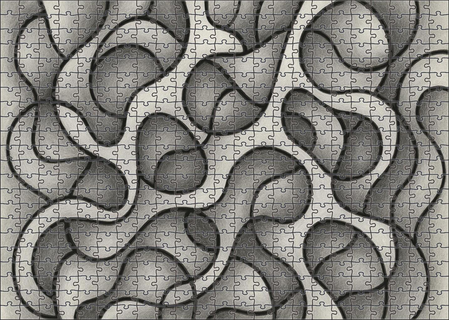 Abstract Organic Form Exploration Graphite And Ink Mixed Media Lines Puzzle For Kids