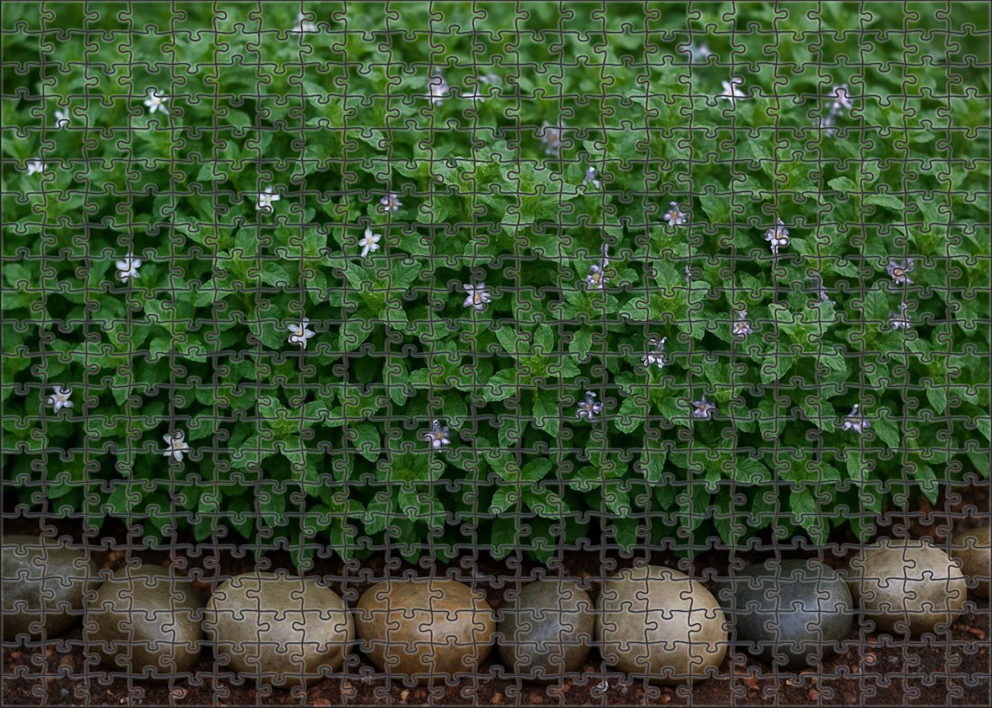 Verdant Herb Border Puzzle Challenge