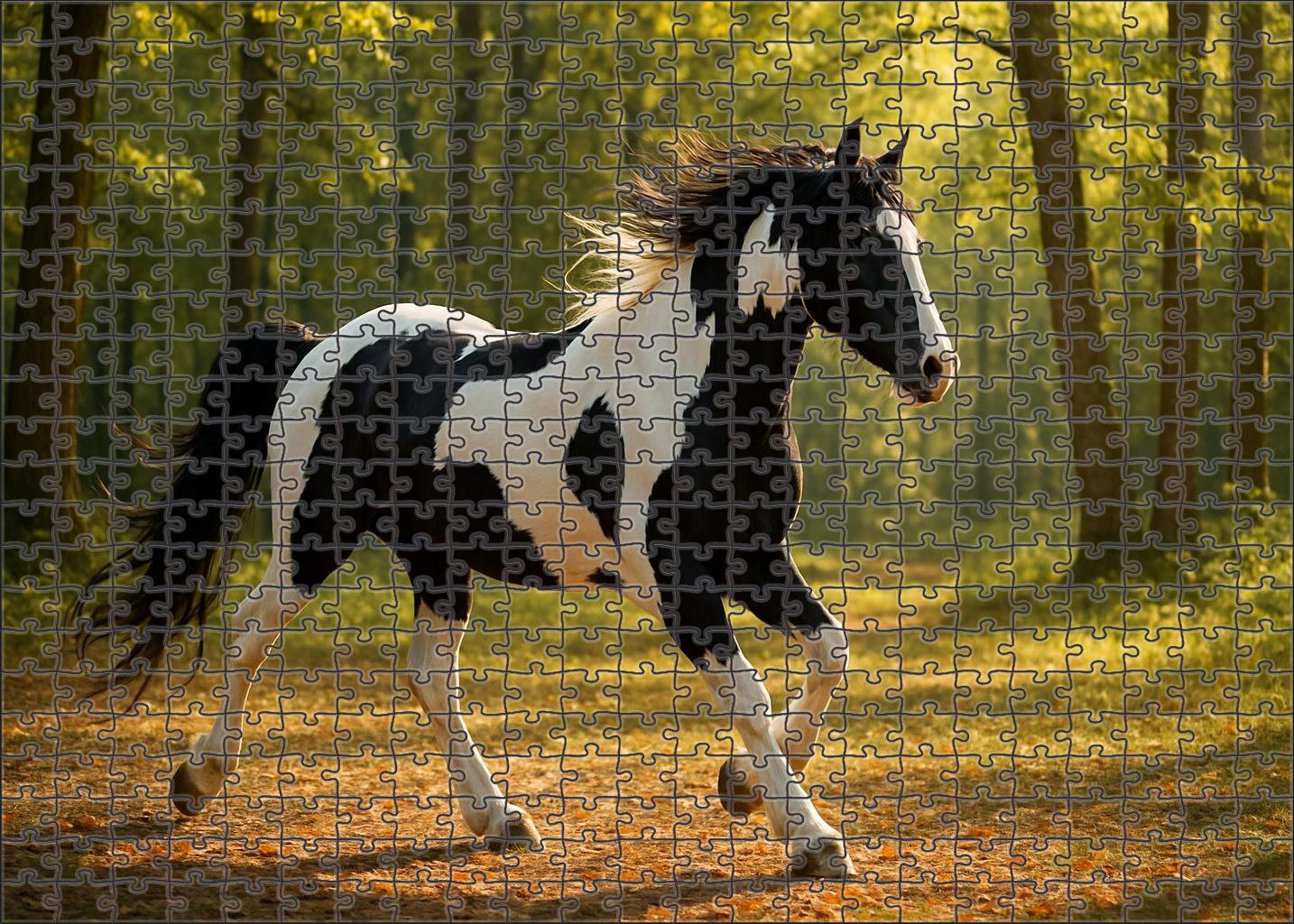 Snowcap Pinto Adventure Large Format Puzzle