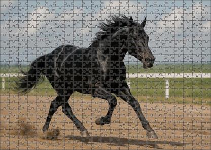 Steel Midnight Racer Sleek Black Thoroughbred With Sharpened Focus Custom Jigsaw Puzzle