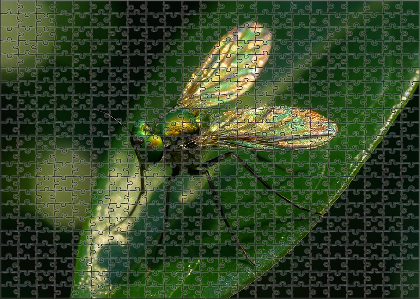 Gilded Leafhopper Arboreal Insect With Iridescent Wings And Camouflage Large Format Puzzle