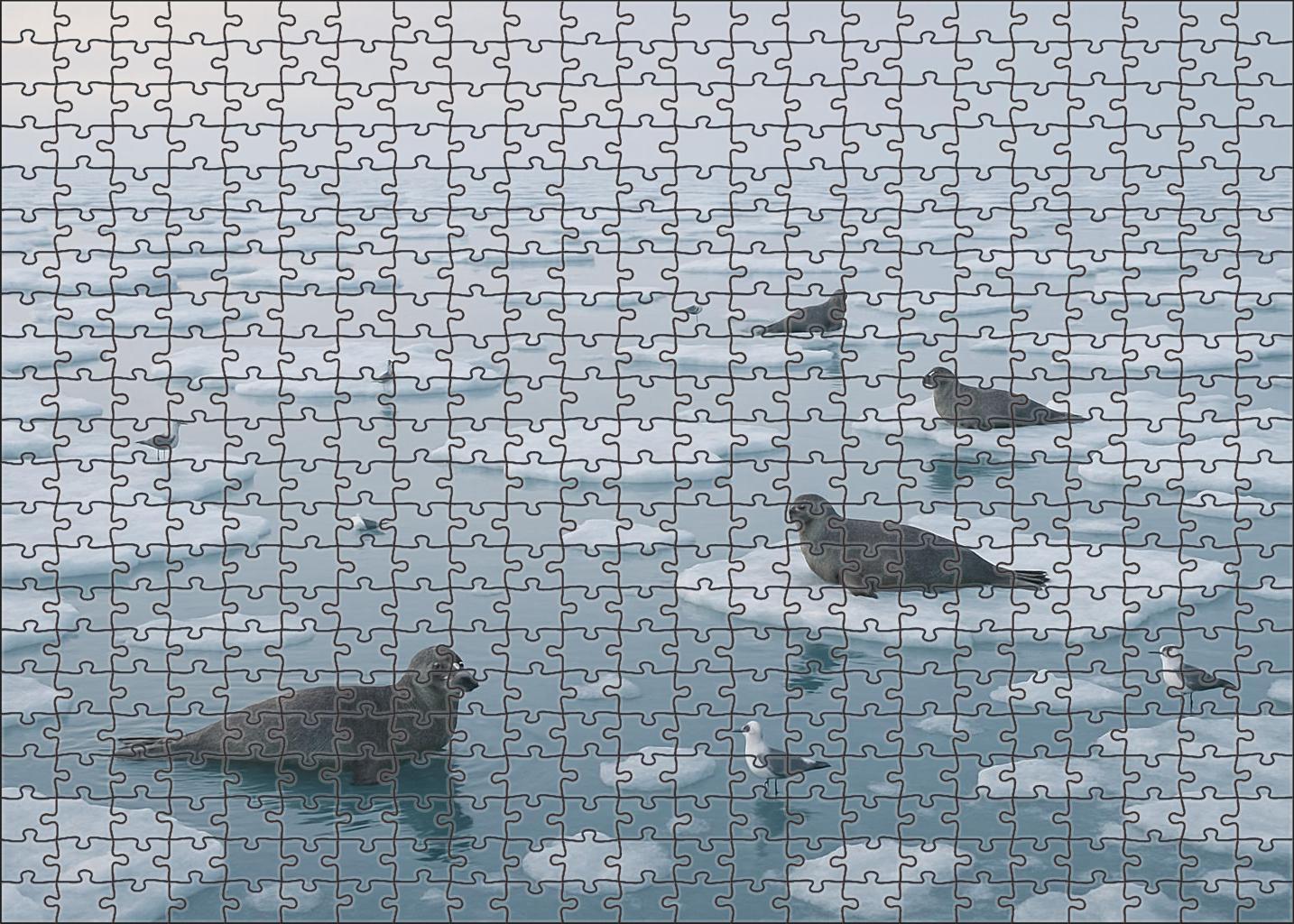 Frost Edge Drift Icy Surface Floes In Pale Winter Light 20 Piece Puzzle