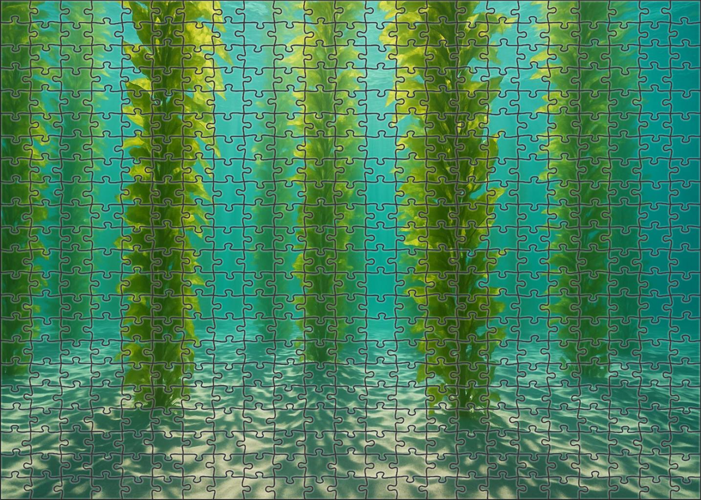 Cerulean Kelp Labyrinth 300 Piece Puzzle