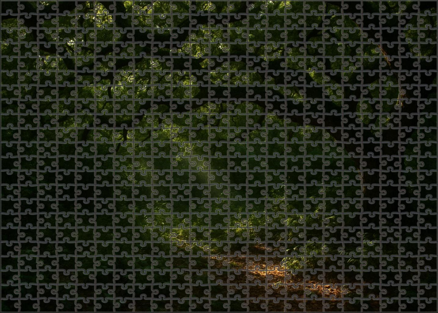 Shadowed Oak Expanse Large Format Puzzle