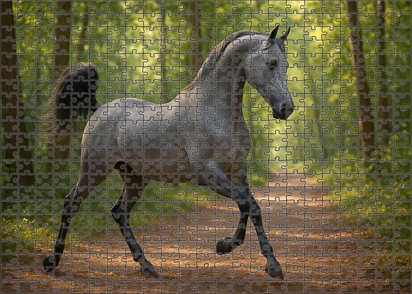 Whispering Willow Graceful Gray Arabian Mare With Floating Canter Puzzle For Kids