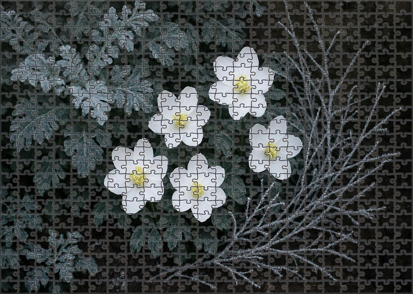 Winter Frost Garden Nook 50 Piece Puzzle