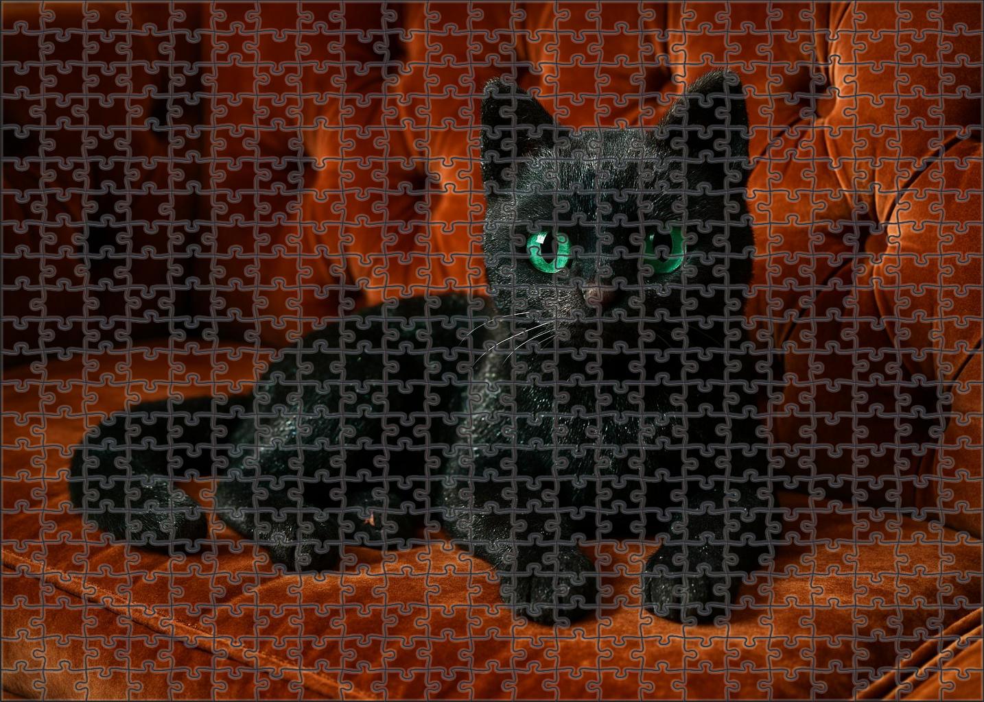 Onyx Velvet 200 Piece Puzzle