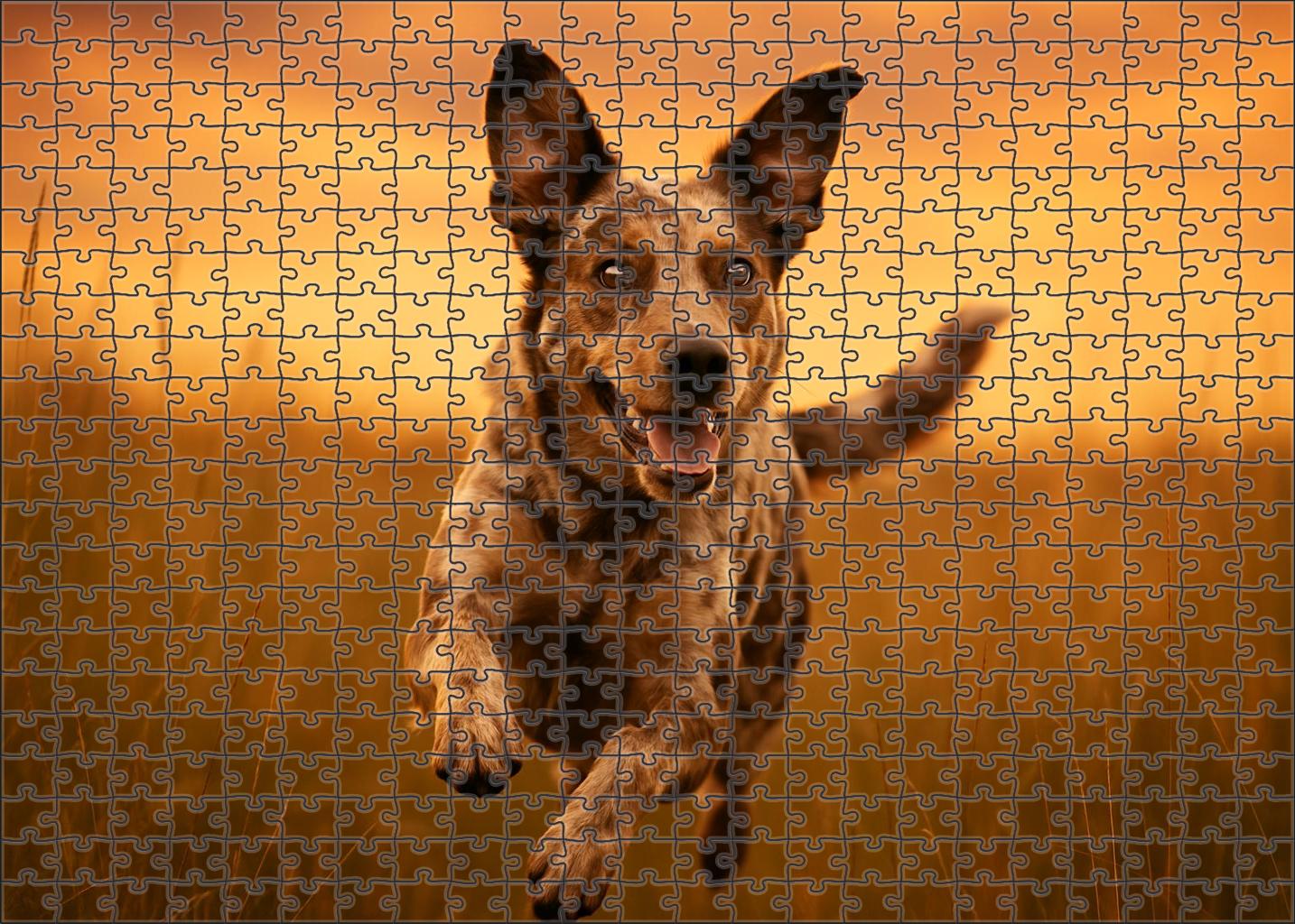 Sunset Merle Custom Jigsaw Puzzle