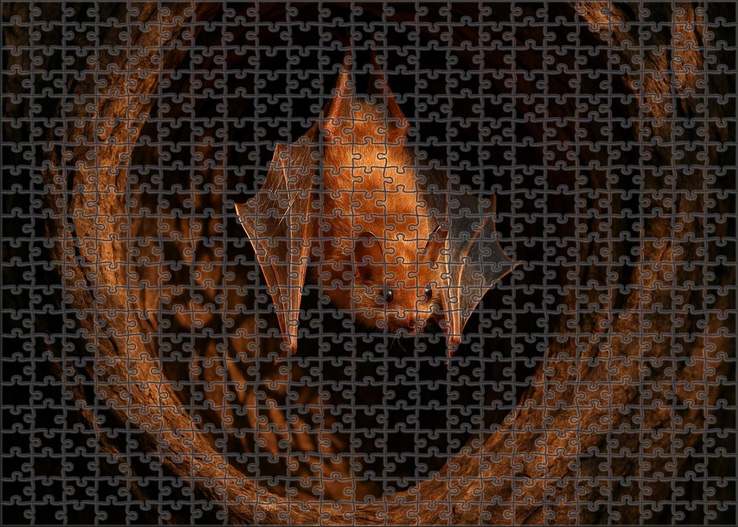 Copper-ringed Glimmering Bat 300 Piece Puzzle