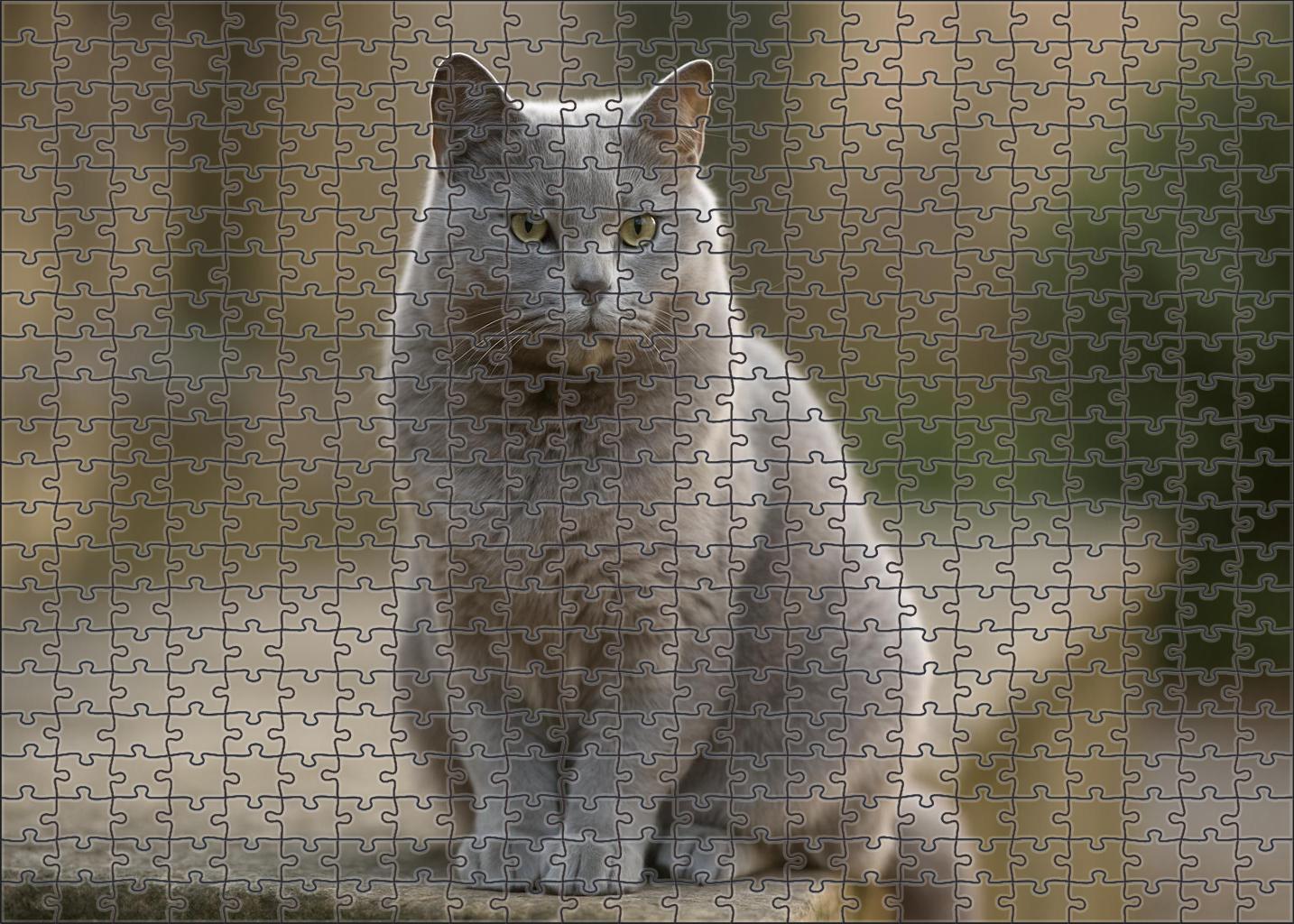 Misty Pearl 50 Piece Puzzle
