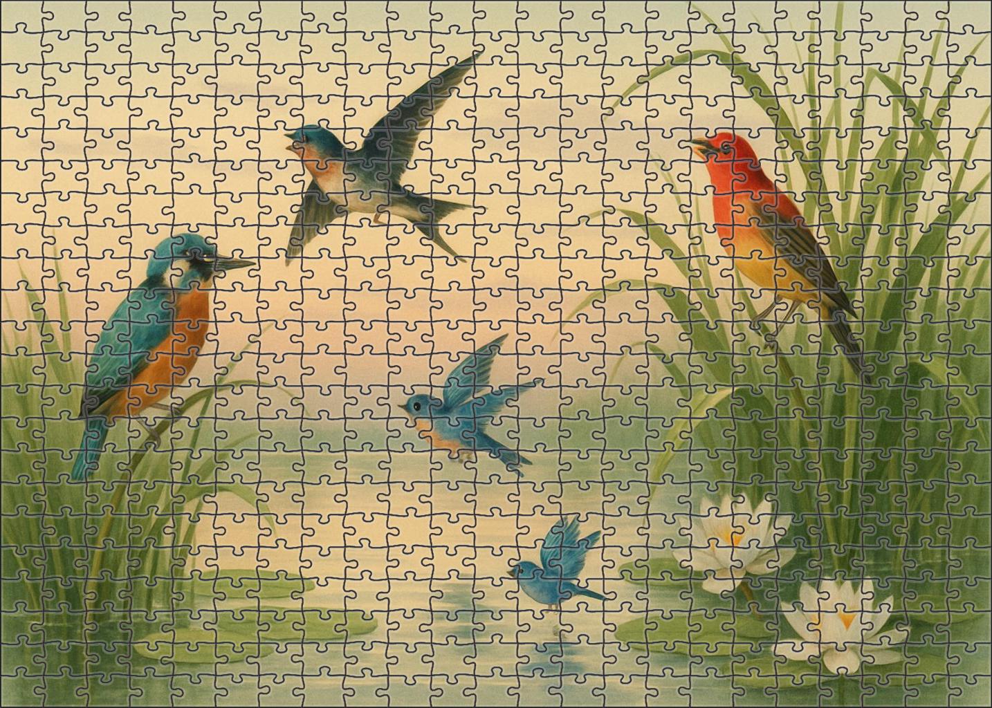Crystal Bay Wetlands Puzzle Collection