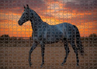 Azure Breeze Elegant Blue Roan Quarter Horse Mare 500 Piece Puzzle