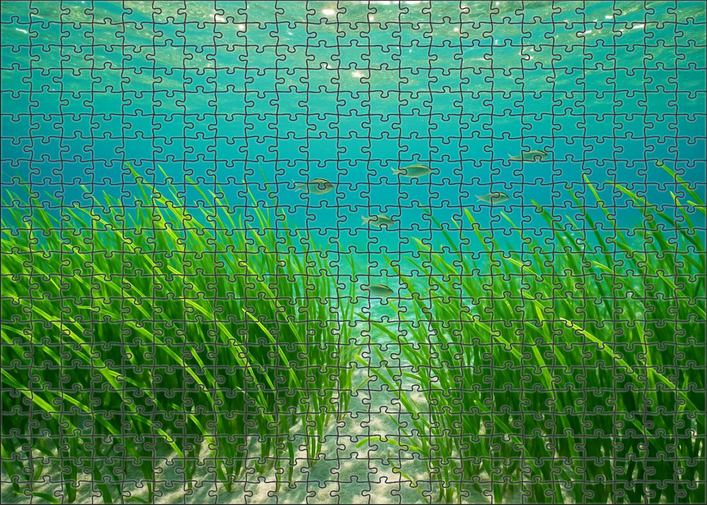 Emerald Seagrass Meadow 300 Piece Puzzle