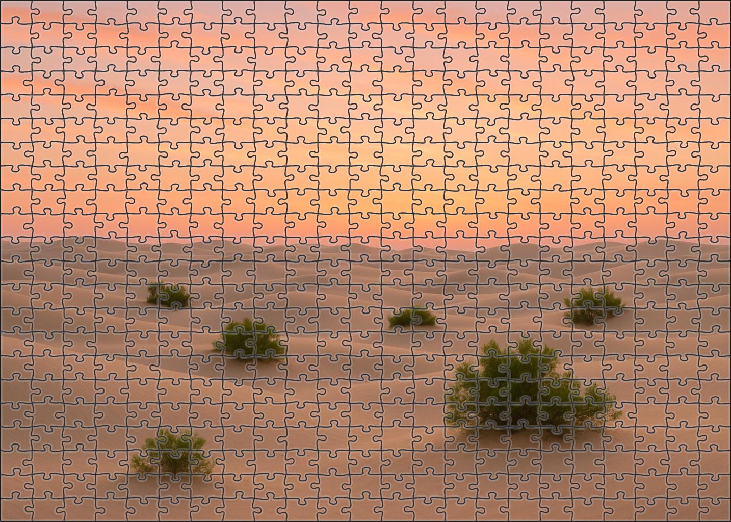 Silent Desert Dunes 200 Piece Puzzle