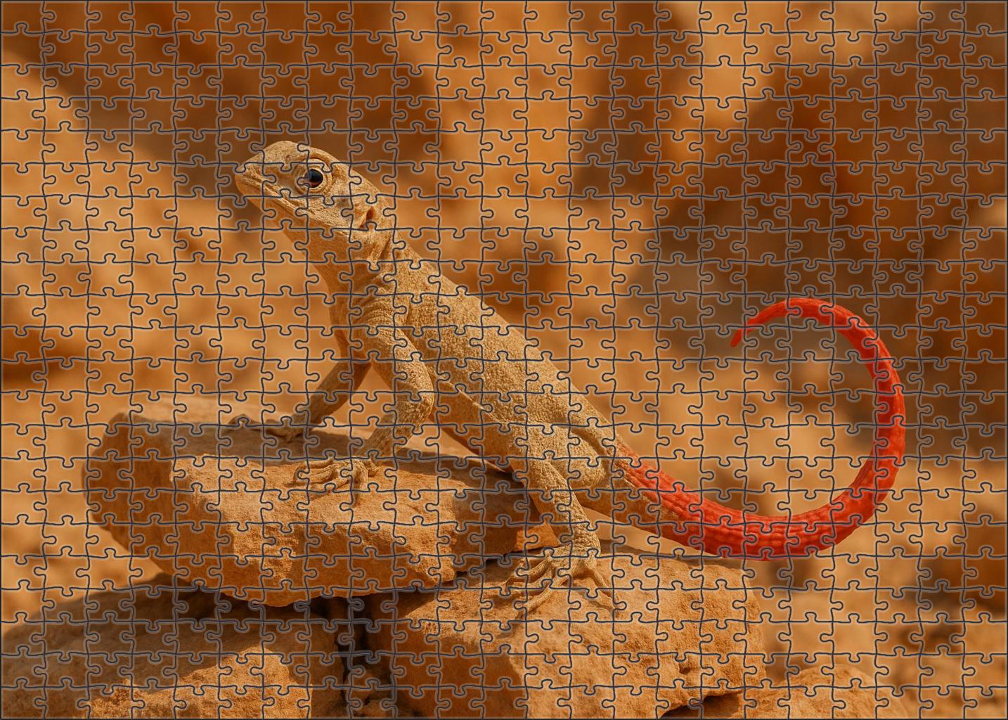 Crimson Tail Flicker Agile Desert Sprite 50 Piece Puzzle