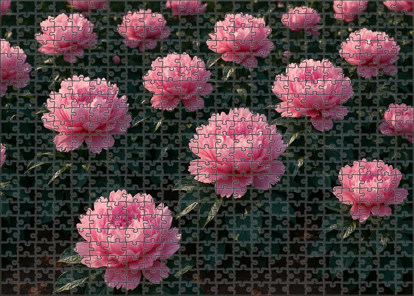 Blushing Peony Garden Bed 200 Piece Puzzle
