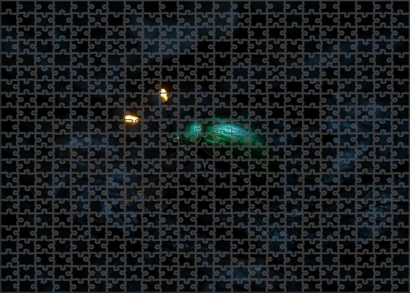 Topaz-tipped Antennae Beetle Nocturnal Forager With Jewel-like Sensory Organs Puzzle Collection