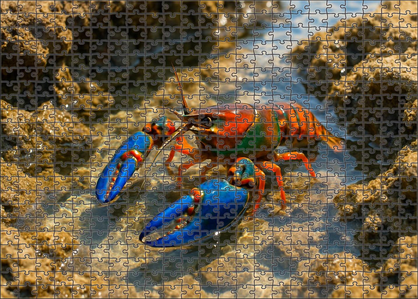 Turquoise Drift Walker Marine Crustacean With Vibrant Blue Claws Mini Puzzle